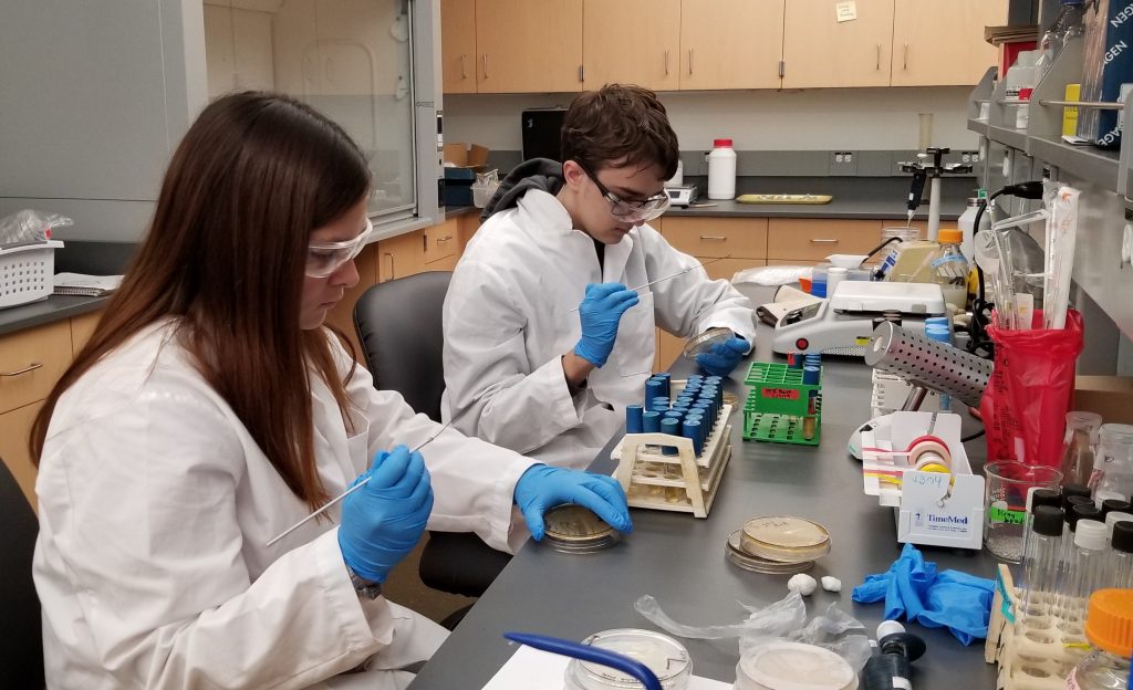 SURE | Luke Laschober and Hanah Mastandrea - undergraduate research