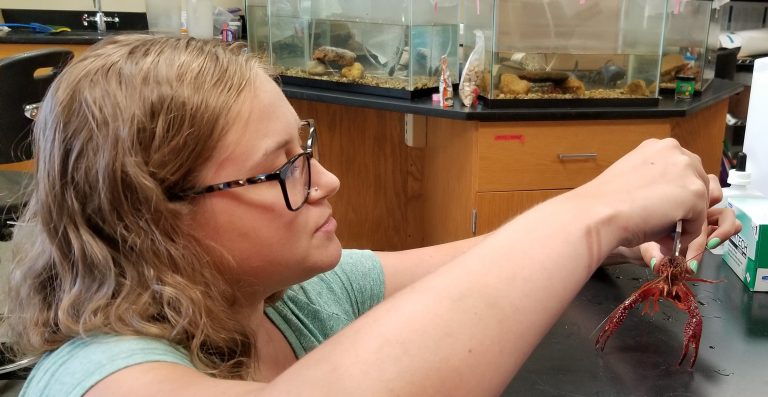 Emily Siegler - Summer Undergraduate Research Experience at USF
