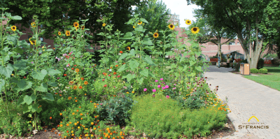 USF butterfly sanctuary