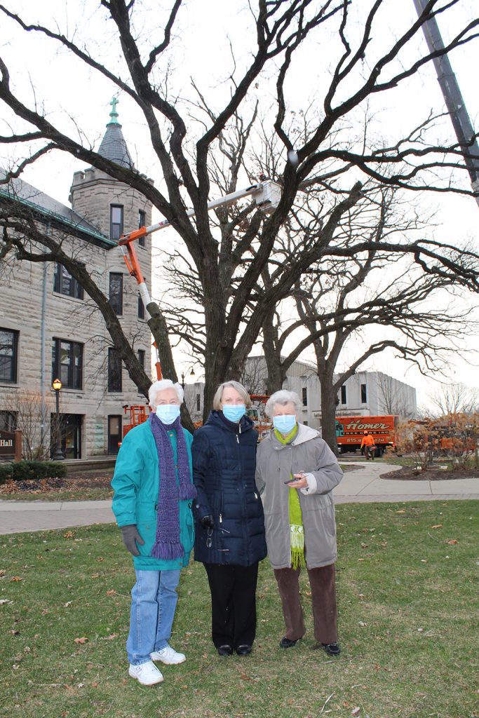 Sisters of Saint Francis of Mary Immaculate