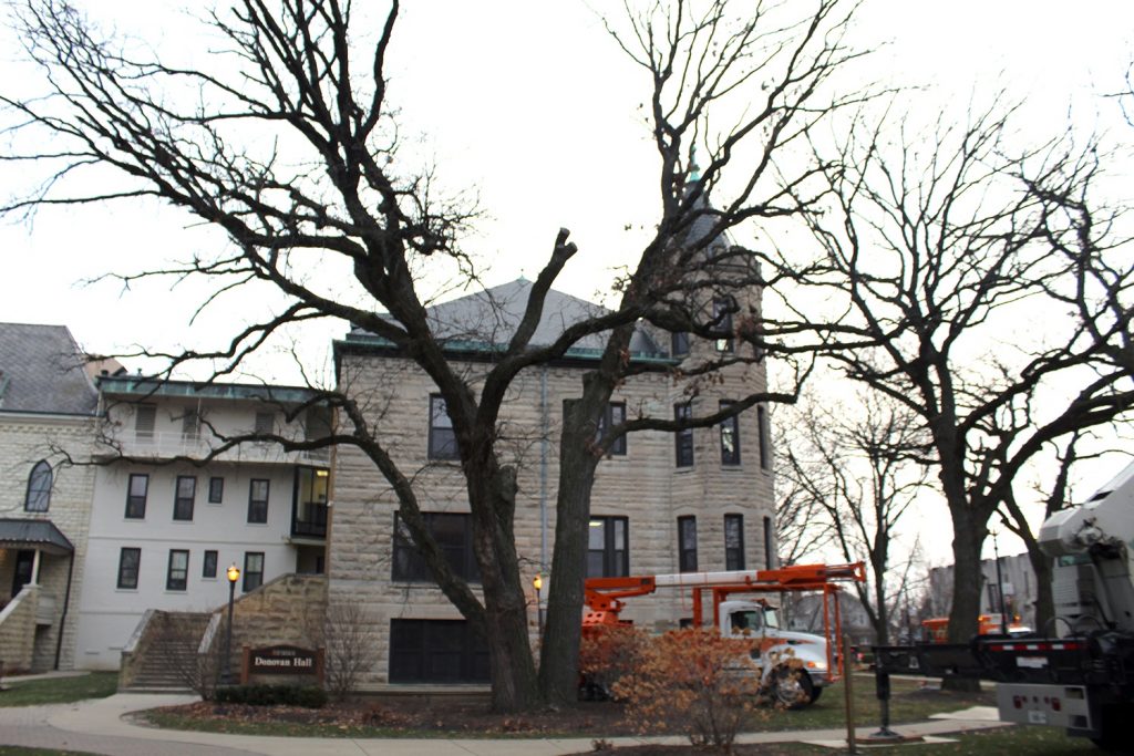 Three Oaks