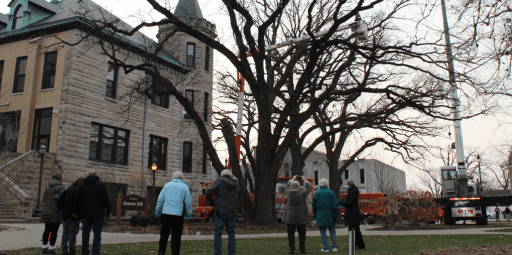 Three Oaks