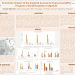 Economic Impact of the Surgical Access for Everyone (SAFE) Program in Rural Hospitals of Uganda
