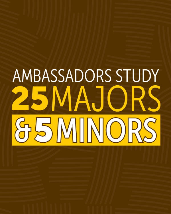 ambassador facts