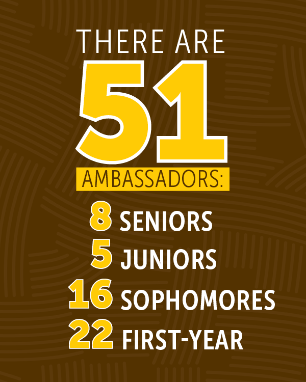 ambassador facts