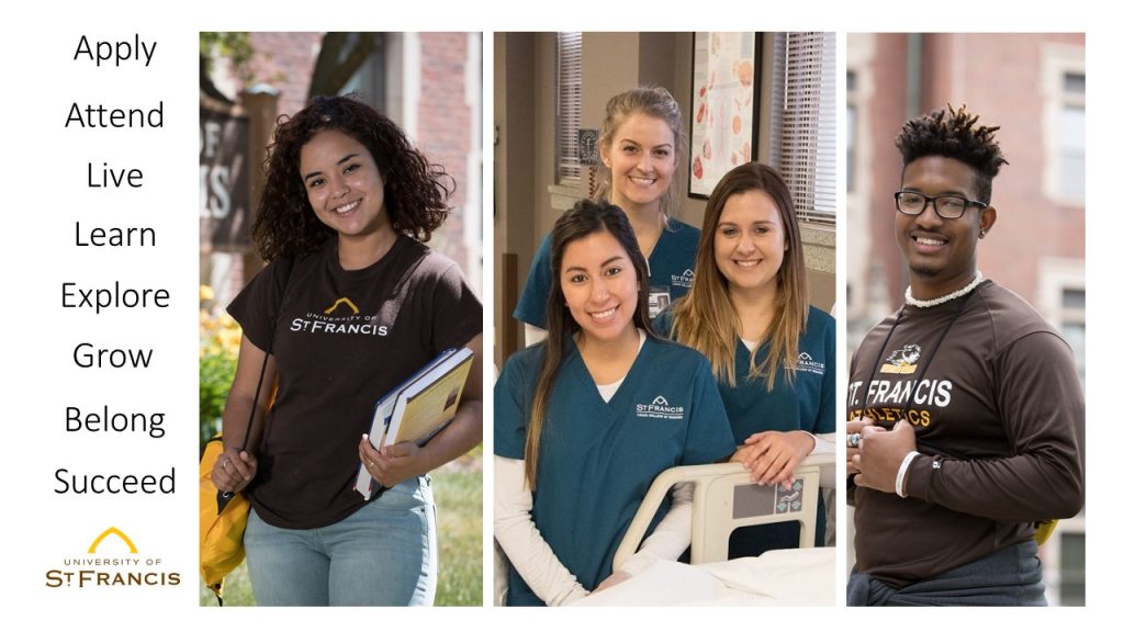 live learn apply succeed at USF